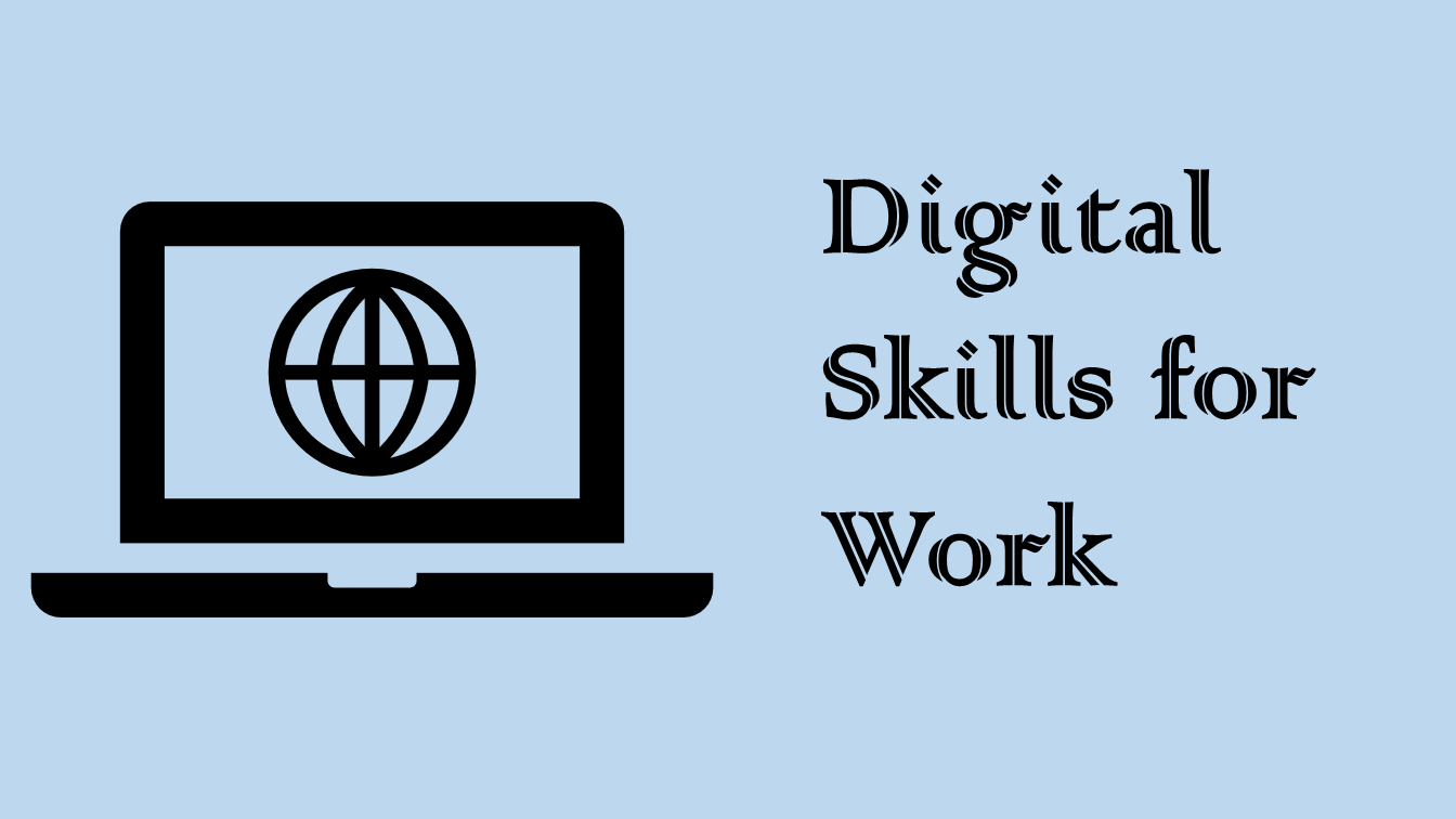 Digital Skills for Work (DS4W) Training Programme